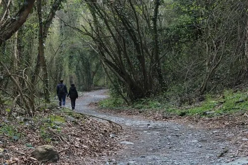 Çatalkaya Vadisi